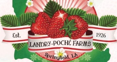 Landry Poche Strawberry Farm Phone Number - (225) 294-2631